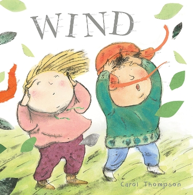 Book cover for Wind