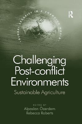 Book cover for Challenging Post-conflict Environments