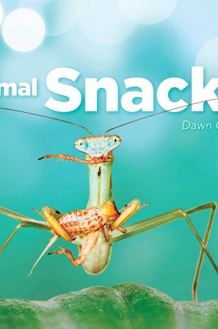 Cover of Animal Snacks