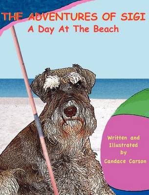 Cover of A Day at the Beach