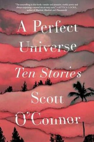 Cover of A Perfect Universe