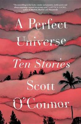 Book cover for A Perfect Universe