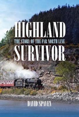 Book cover for Highland Survivor