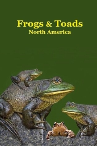 Cover of Frogs and Toads of North America Kids Book