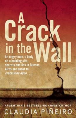 Book cover for A Crack in the Wall