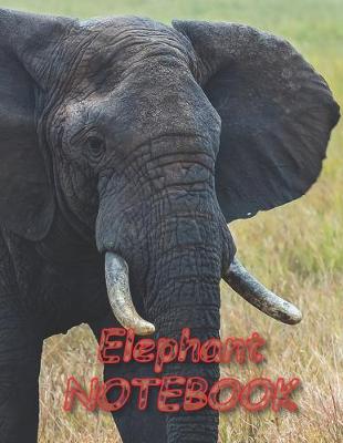 Book cover for Elephant NOTEBOOK