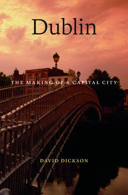 Book cover for Dublin