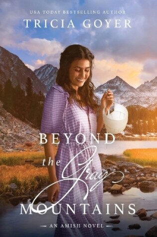 Cover of Beyond the Gray Mountains LARGE PRINT Edition