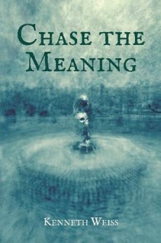 Cover of Chase the Meaning