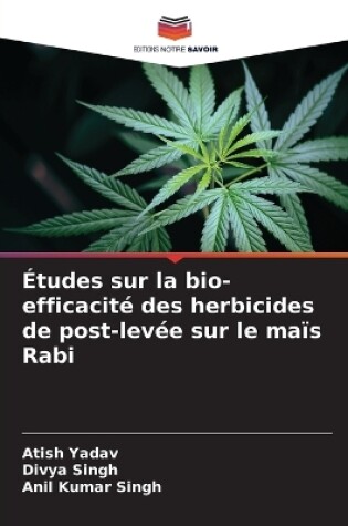 Cover of Études sur la bio-efficacité des herbicides de post-levée sur le maïs Rabi