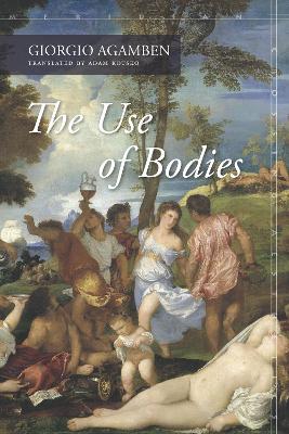 Book cover for The Use of Bodies