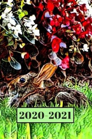 Cover of Brown Bunny Rabbit in the Garden Dated Calendar Planner 2 years To-Do Lists, Tasks, Notes Appointments