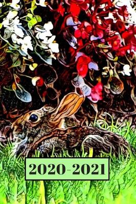 Book cover for Brown Bunny Rabbit in the Garden Dated Calendar Planner 2 years To-Do Lists, Tasks, Notes Appointments