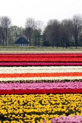 Book cover for Colorful Field of Tulips in the Netherlands Journal