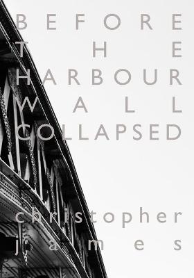 Book cover for Before The Harbour Wall Collapsed