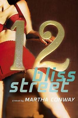 Book cover for 12 Bliss Street