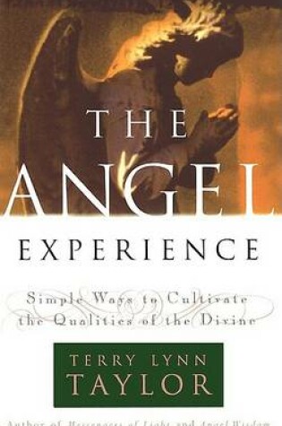 Cover of The Angel Experience