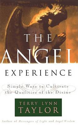 Book cover for The Angel Experience