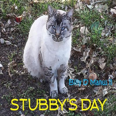 Book cover for Stubby's Day