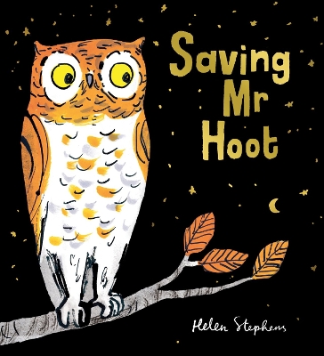 Book cover for Saving Mr Hoot HB