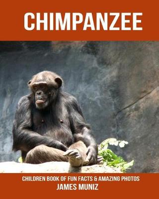 Book cover for Chimpanzee