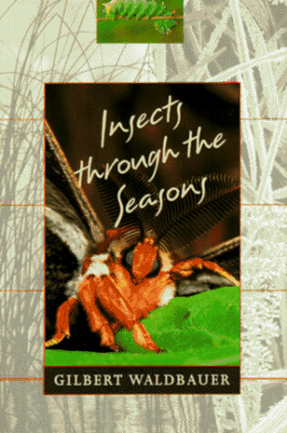 Cover of Insects Through the Seasons