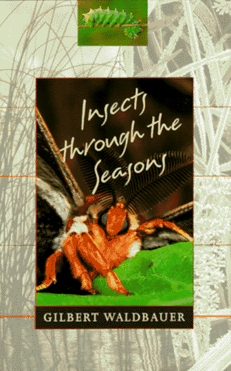 Book cover for Insects Through the Seasons