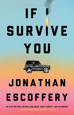 Book cover for If I Survive You