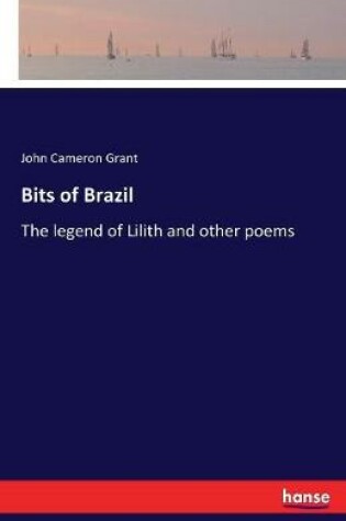 Cover of Bits of Brazil