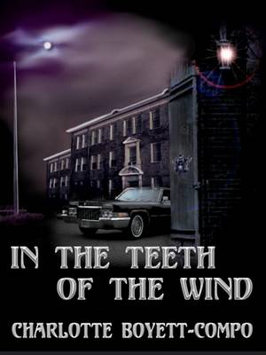 Book cover for In the Teeth of the Wind, Book 2 Windtorn Trilogy