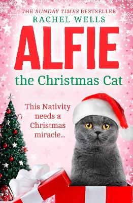 Book cover for Alfie the Christmas Cat