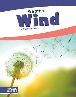 Book cover for Wind