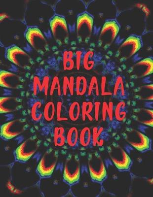 Book cover for Big Mandala Coloring Book