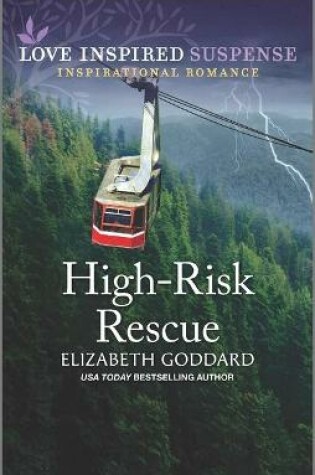 Cover of High-Risk Rescue