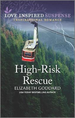Cover of High-Risk Rescue