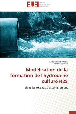 Book cover for Mod lisation de la Formation de l'Hydrog ne Sulfur  H2s