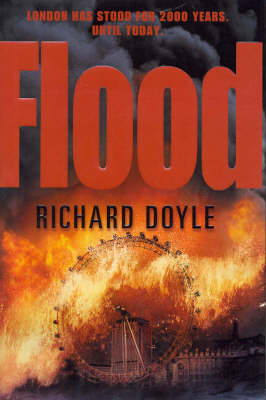 Book cover for Flood