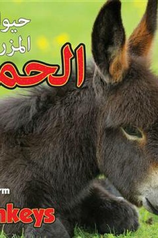 Cover of Donkeys