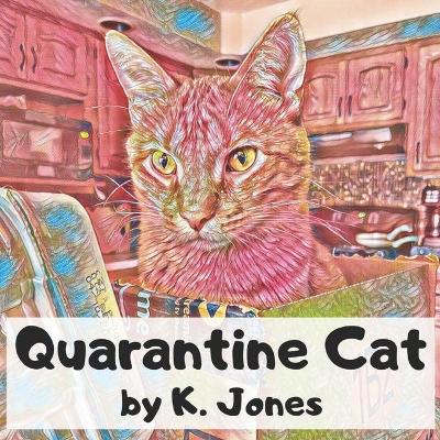 Book cover for Quarantine Cat