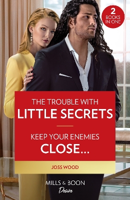 Book cover for The Trouble With Little Secrets / Keep Your Enemies Close…