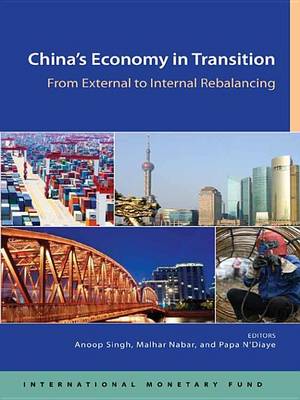 Book cover for China's Economy in Transition: From External to Internal Rebalancing