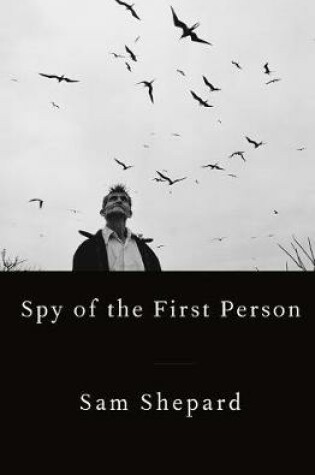 Cover of Spy of the First Person