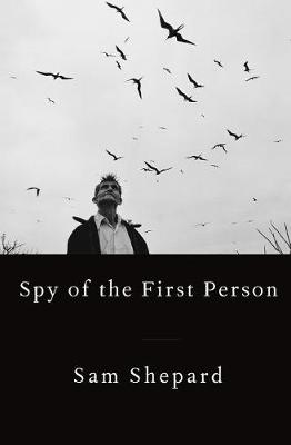 Book cover for Spy of the First Person