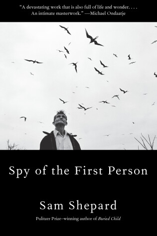 Cover of Spy Of The First Person