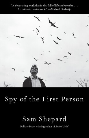 Book cover for Spy Of The First Person