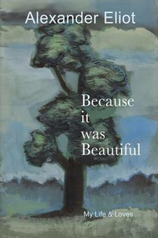 Cover of Because it was Beautiful