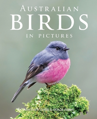 Book cover for Australian Birds in Pictures