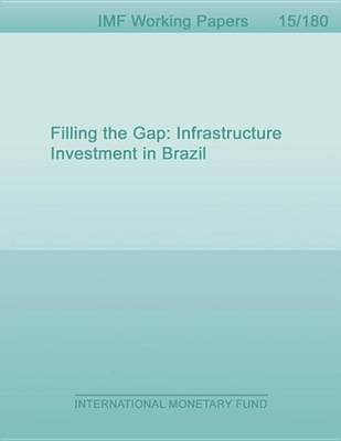 Book cover for Filling the Gap