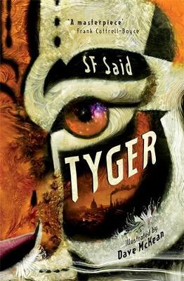 Book cover for Tyger