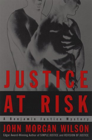 Book cover for Justice at Risk